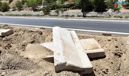 Başkent’te ağaçların kuruma nedeni susuzluk değil altındaki beton