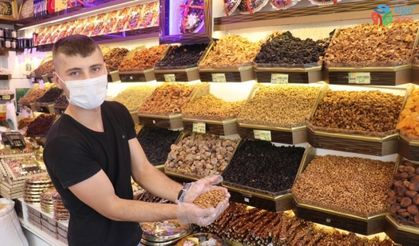 Kayısı Çekirdeği ‘Güvenli Bitkiler’ listesinde