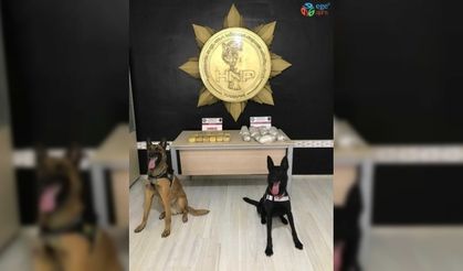 Yüksekova’da 12 kilo  800 gram uyuşturucu ele geçirildi