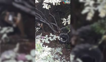 Traktör dereye uçtu : 1 ölü, 1 yaralı