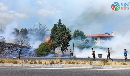 Son dakika: Muğla'da yangın! Kara yolu ulaşıma kapatıldı