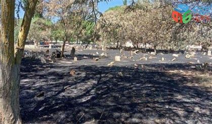 Manisa’da akıllara durgunluk veren olay: Mezarlığı yakarak temizlediler