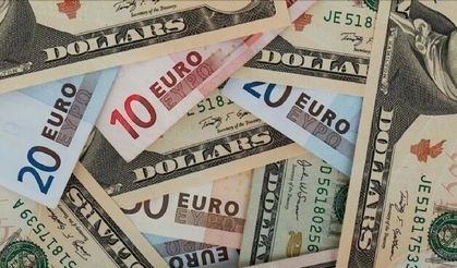 Euro rekor kırdı, dolar da yükselişte