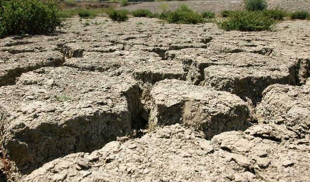 'İzmir'de toprak kurudu, en küçük kıvılcımda çıra gibi tutuşuyor'