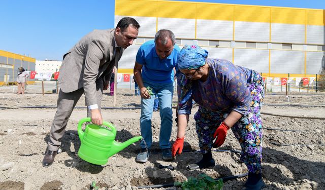 Bornova'da Yeşil Dönüşüm Kent Bostanları yaygınlaşıyor