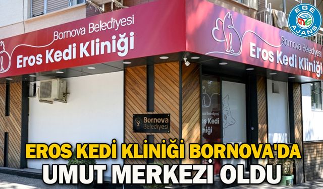 Eros Kedi Kliniği Bornova'da umut merkezi oldu