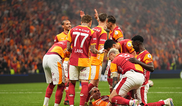 Aslan şampi...
