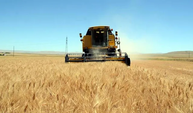 TMO’dan hububat satışlarına ilişkin açıklama