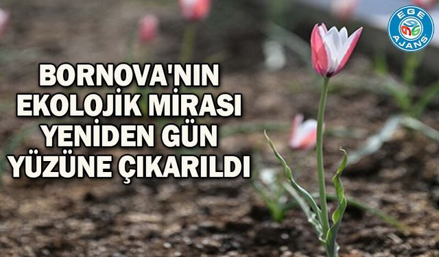 Bornova'nın ekolojik mirası yeniden gün yüzüne çıkarıldı