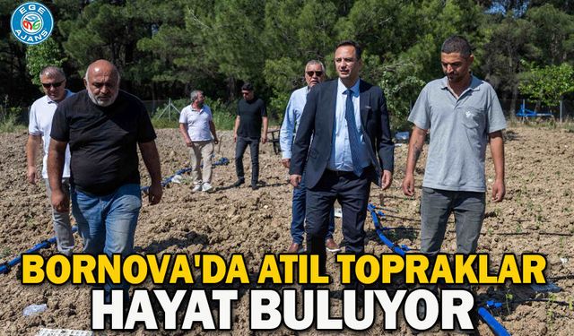 Bornova'da atıl topraklar hayat buluyor