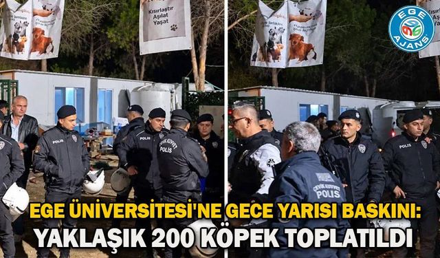 Ege Üniversitesi'ne gece yarısı baskını: Yaklaşık 200 köpek toplatıldı