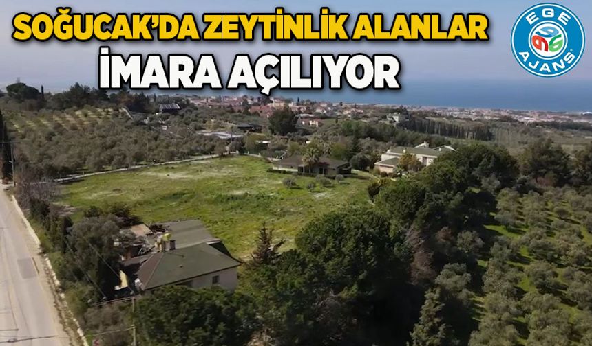 SOĞUCAK’DA ZEYTİNLİK ALANLAR İMARA AÇILIYOR