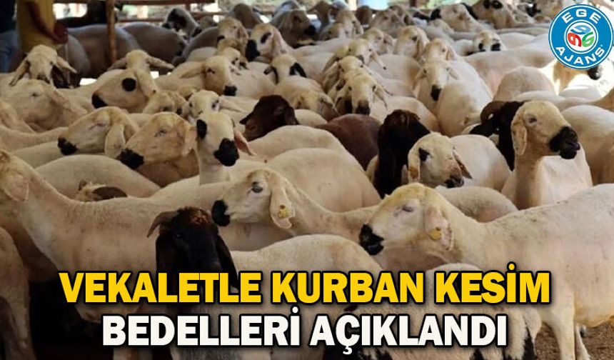 Vekaletle kurban kesim bedelleri açıklandı