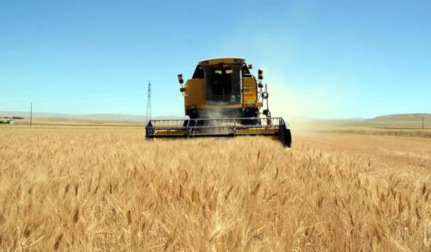 TMO’dan hububat satışlarına ilişkin açıklama