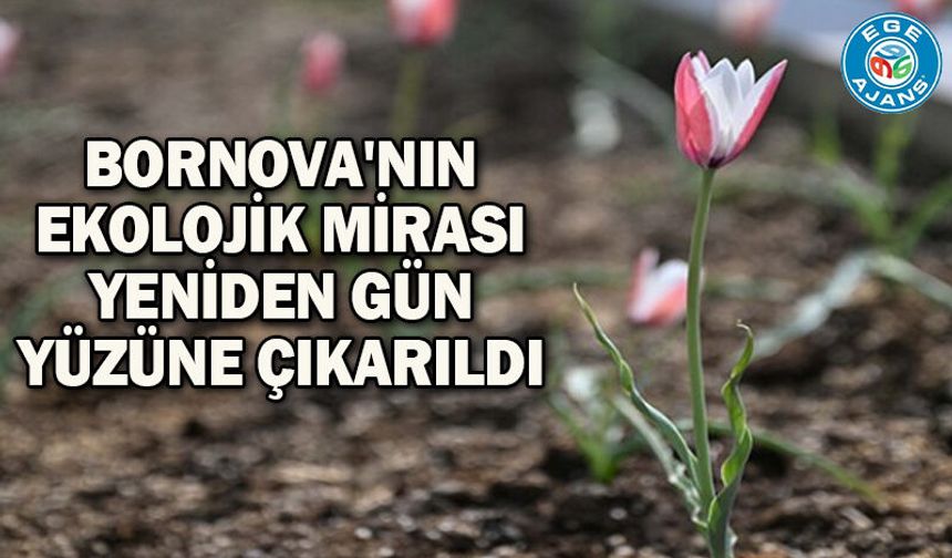 Bornova'nın ekolojik mirası yeniden gün yüzüne çıkarıldı