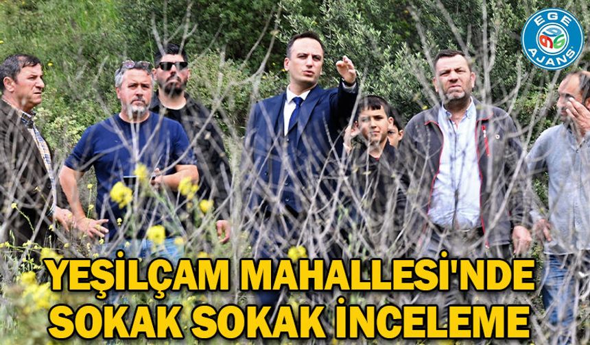 Yeşilçam Mahallesi'nde sokak sokak inceleme