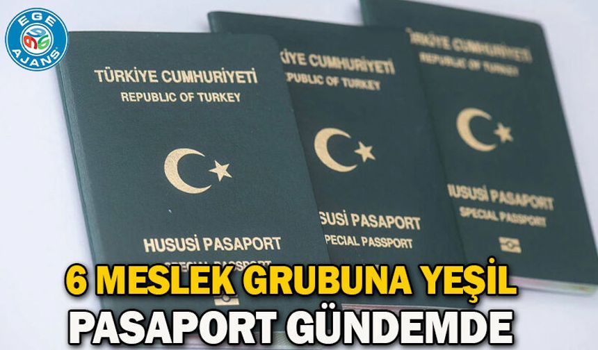 6 meslek grubuna yeşil pasaport gündemde