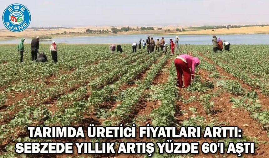 Tarımda üretici fiyatları arttı: Sebzede yıllık artış yüzde 60'ı aştı