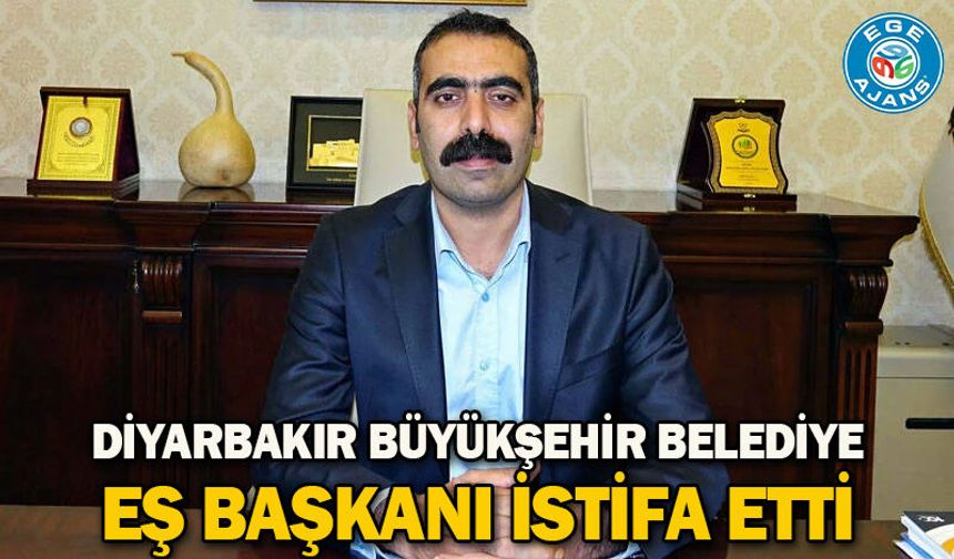 Diyarbakır Büyükşehir Belediye Eş Başkanı istifa etti