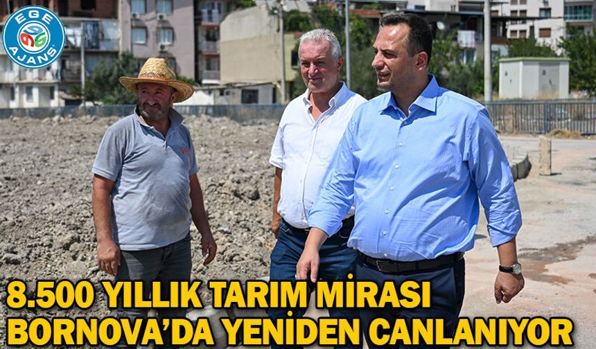8.500 yıllık tarım mirası Bornova’da yeniden canlanıyor