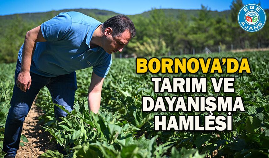 Bornova’da tarım ve dayanışma hamlesi