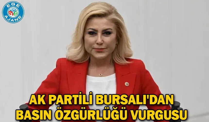 AK Partili Bursalı'dan basın özgürlüğü vurgusu