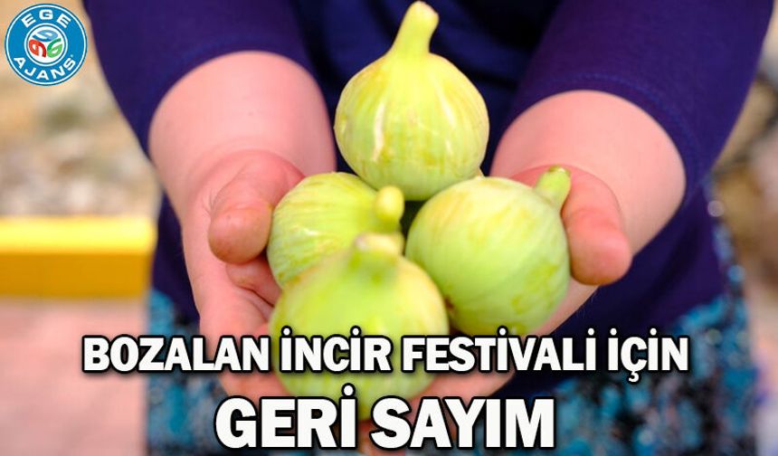 Bozalan İncir Festivali için geri sayım
