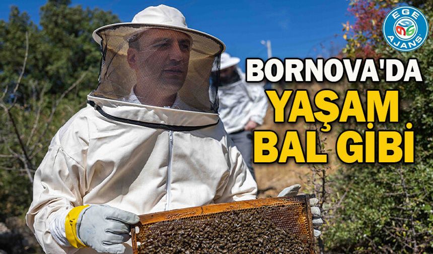 Bornova'da yaşam bal gibi