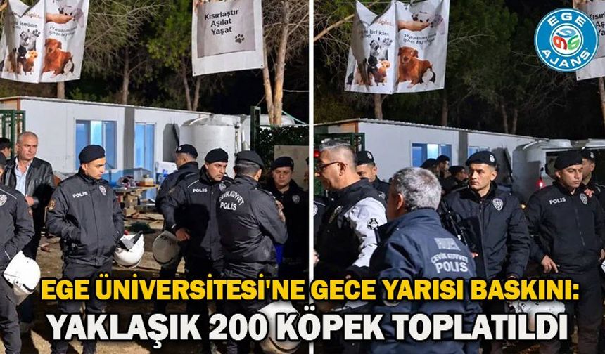 Ege Üniversitesi'ne gece yarısı baskını: Yaklaşık 200 köpek toplatıldı